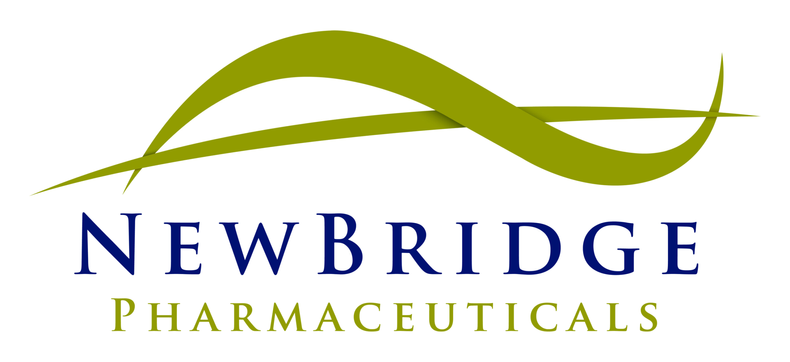 NewBridge Logo